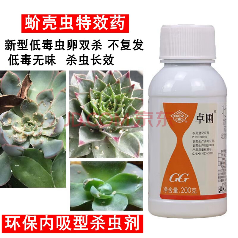 卓圃新款蚧必治介蚧壳虫专用药农药多肉药剂壳虫杀虫剂农用 200g