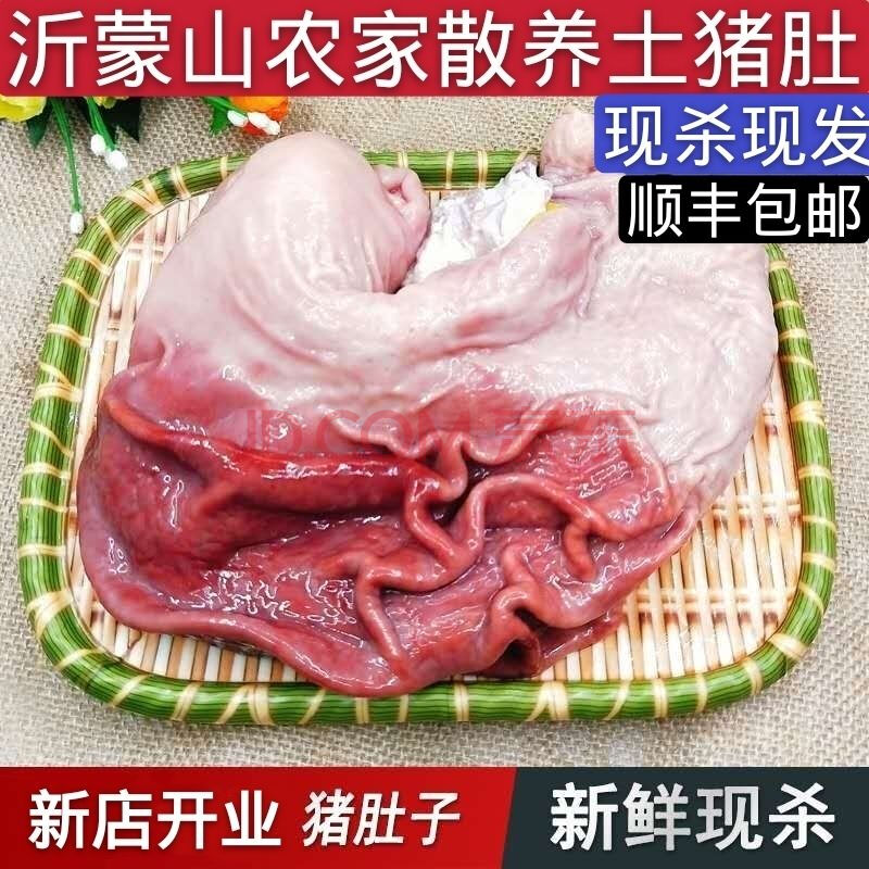 新鲜土猪肚子散养土猪肉新鲜猪胃生猪肚大个头 4只装 大号土猪肚【4只