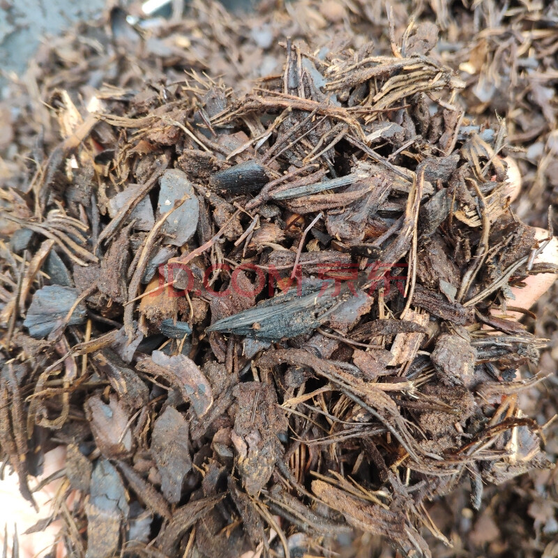 松筋蘭花植料蘭花土蘭花營養土松苞殼 中顆粒9斤