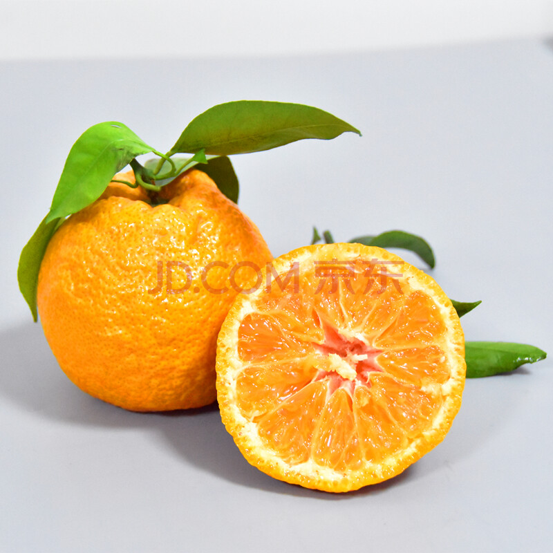 【产地直发】四川石棉汉源黄果柑新鲜应季水果柑橘丑桔夏桔10 9斤