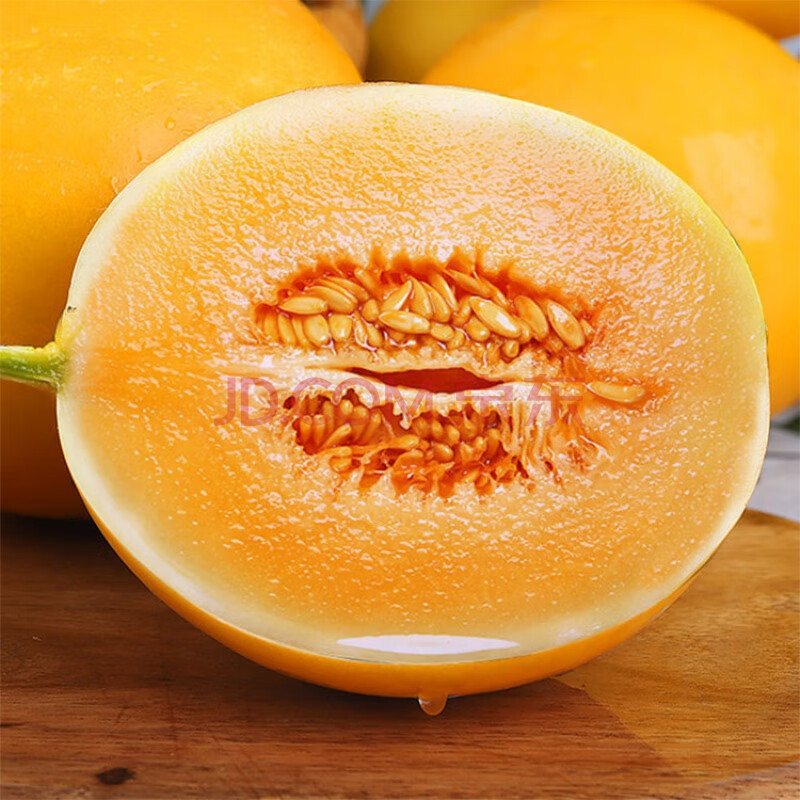 黄河蜜瓜 甘肃民勤金红宝蜜瓜脆甜香瓜黄河蜜瓜甜瓜新鲜精品瓜果 15斤