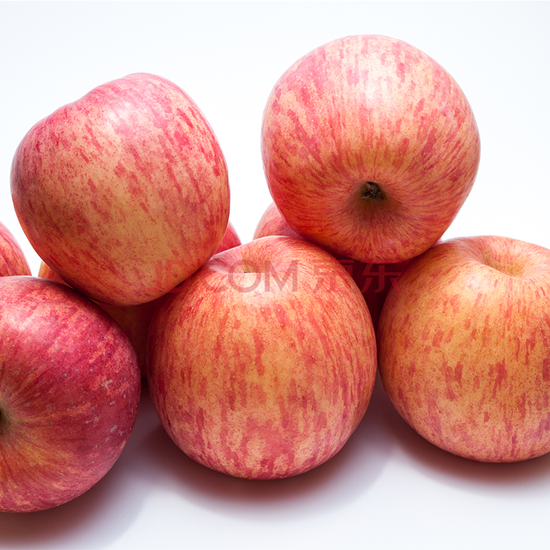 正宗陕西红富士苹果脆甜多汁新鲜孕妇水果生鲜苹果整箱10斤 24枚普通