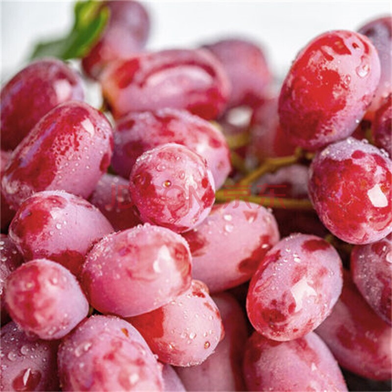 克伦生无籽红提新鲜水果红提子无核葡萄甜应季水果 2500g