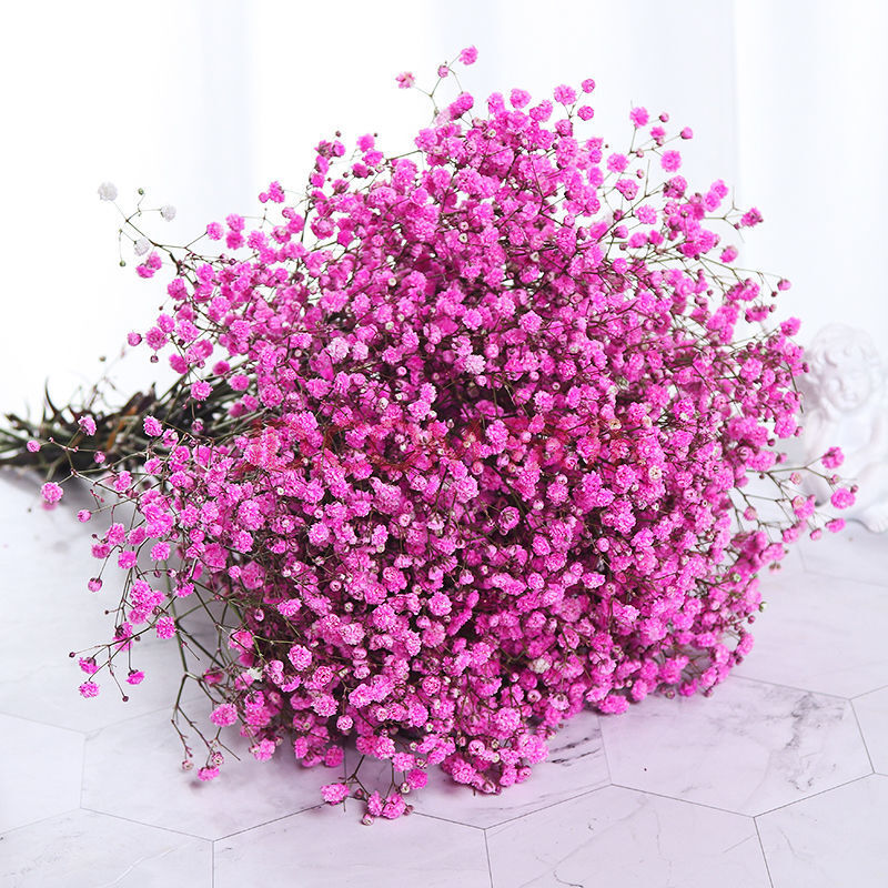 玫红色 满天星 不含瓶