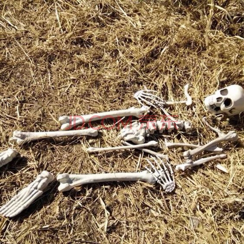 骷髅骨架摆设万圣节恐怖鬼屋密室装饰人体假密室逃脱干尸搞怪布景道具