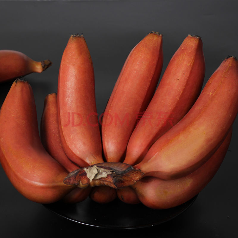 红皮香蕉福建漳州土楼新鲜当季水果5斤红色美人代餐小米蕉芭蕉10 5斤