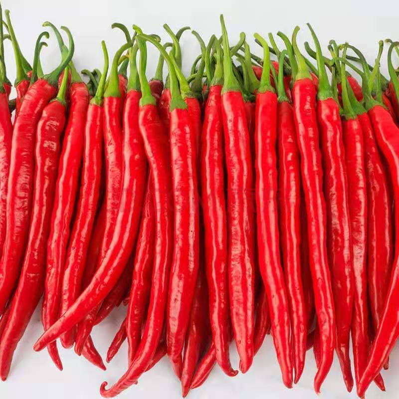 6-3斤红二荆条 普通装