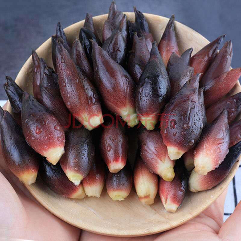 贵州特产洋荷姜新鲜洋荷阳荷姜洋霍洋合笋 2斤 新鲜现摘