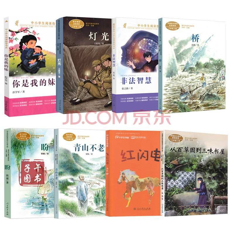人民教育出版社 你是我的妹 灯光 非法智慧 桥 盼 青山不老 红闪电 从