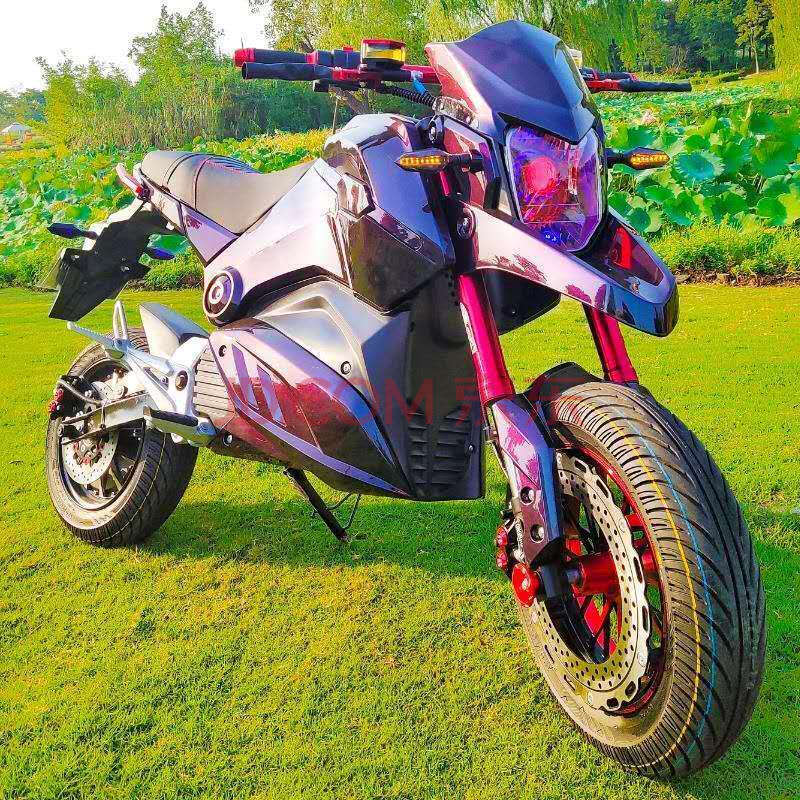 变色龙:不包运费 飙车款96v20a 整车-送后盾