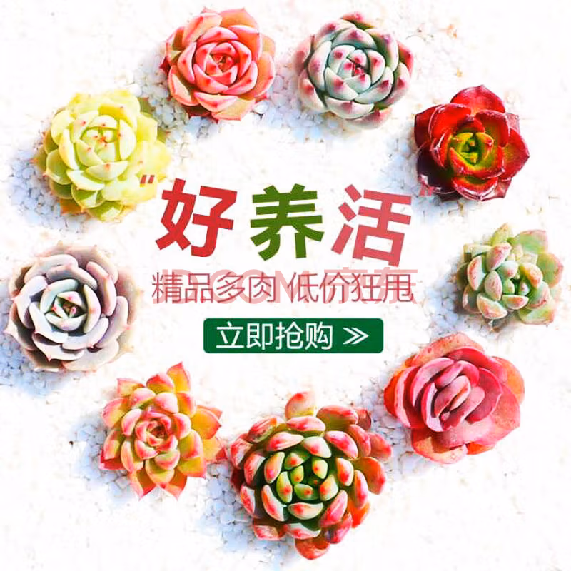 园艺绿植 6-5券-京东优惠券