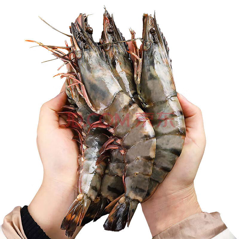 鲜京采 巨型黑虎虾 去冰净重1KG装 13-15只/盒 124元包邮（双重优惠） 值值值-买手聚集的地方