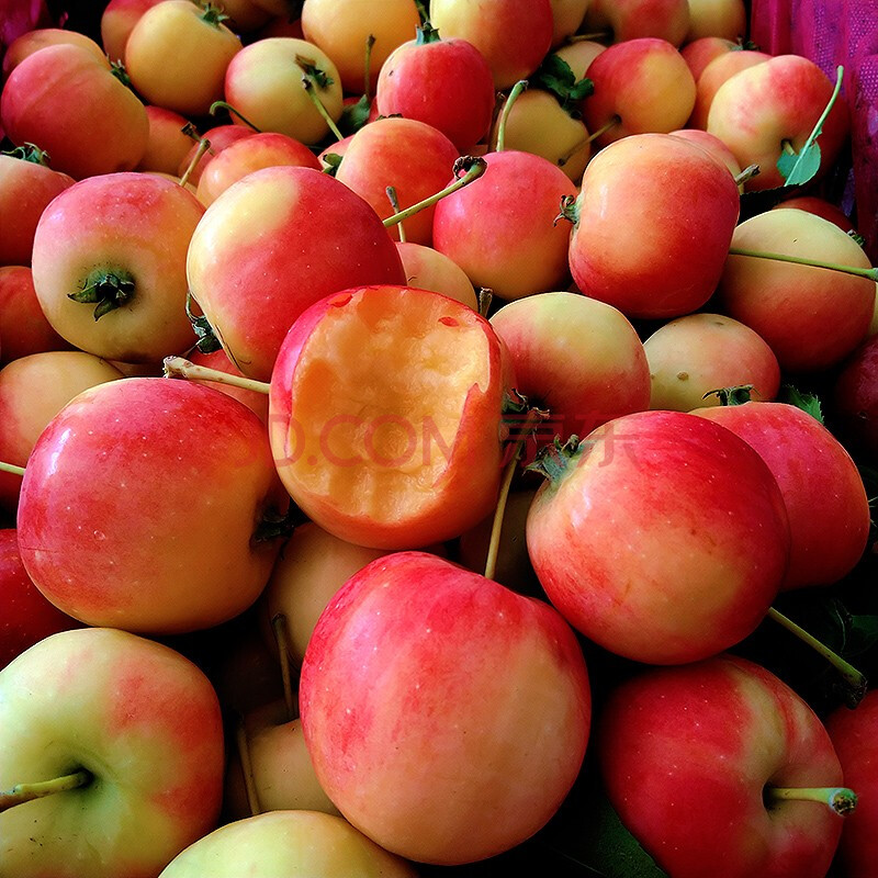 东北特产新鲜水果海棠果小沙果酸甜脆槟果鸡心果 60mm以下 3斤