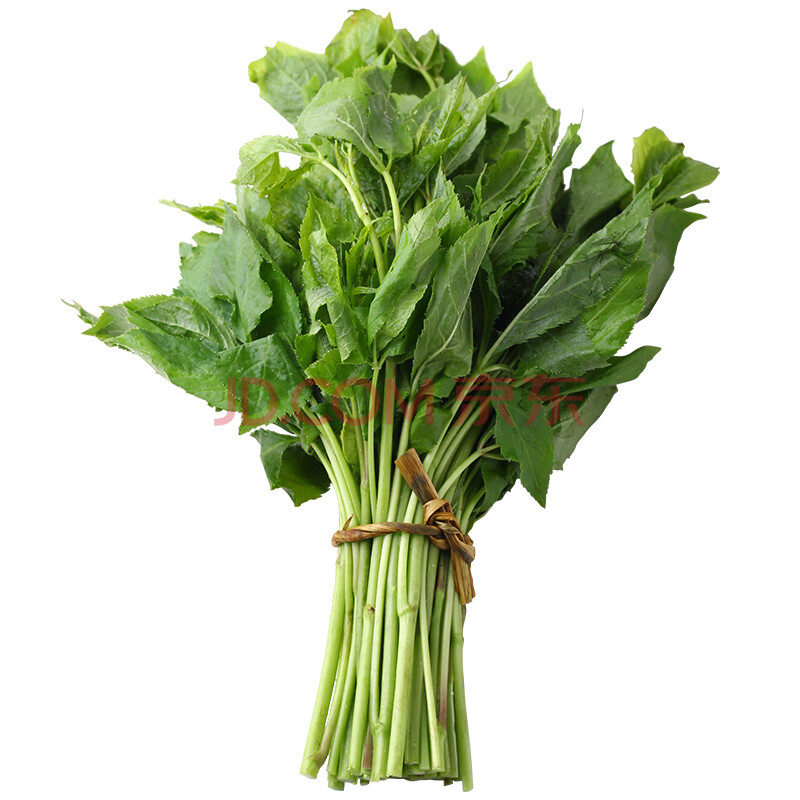 新鲜刺五加菜250g东北长白山野菜刺果棒刺拐棒野嫩芽 两斤