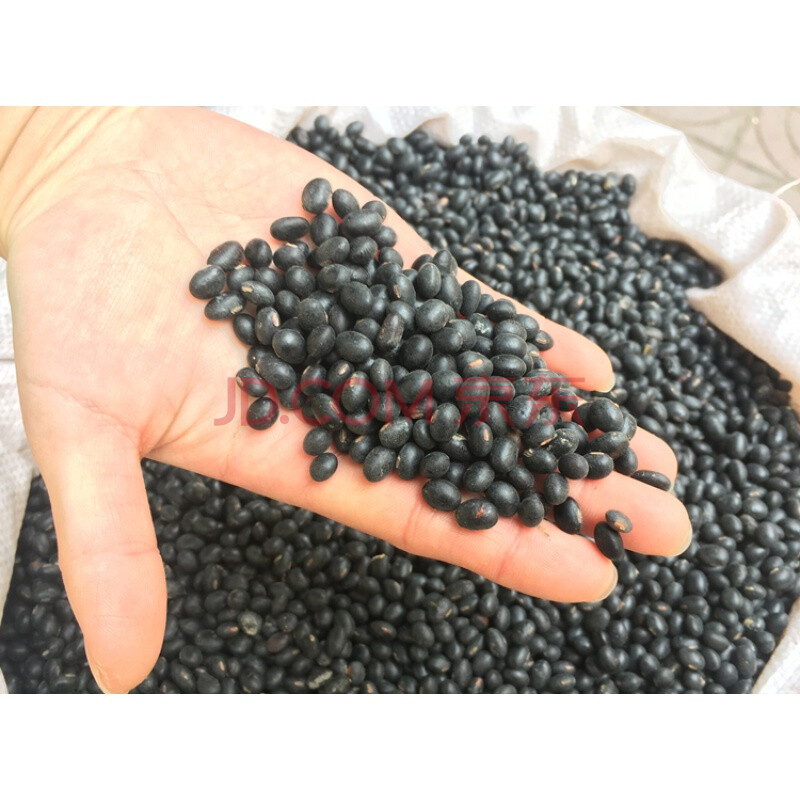 原始老品种肾形黄芯黑豆黄心黑小豆雄黑豆黄豆500g装