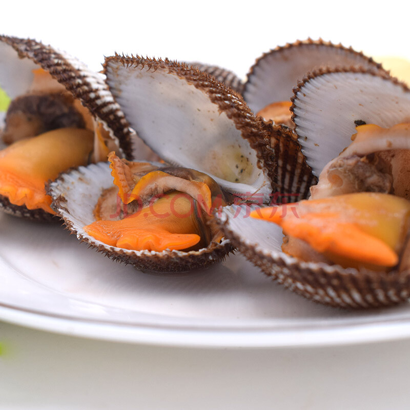 舟山鲜活大蛤蜊血蛤鲜活贝类赤贝大毛蛤花蛤蜊毛蛤蜊海鲜水产新鲜