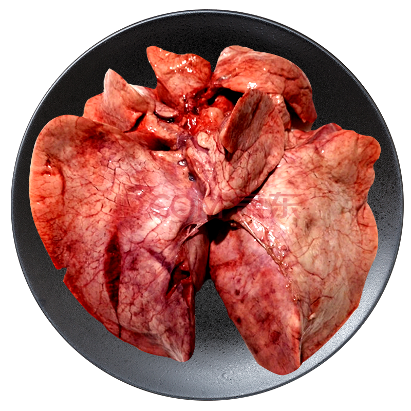 杞乐康 宁夏滩羊新鲜羊杂生羊肺2斤装 羊副 羊肺2个装 火锅食材 真空