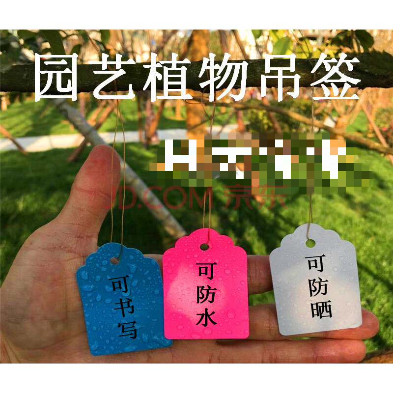 花卉牌pvc彩色植物塑料吊签花卉园艺标签小挂牌苗木吊牌多肉标签 3.