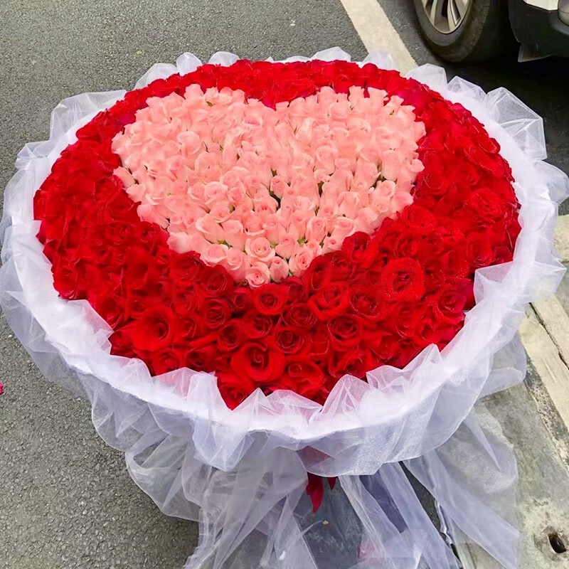 玫瑰花束全国同城配送送女友求婚表白送老婆生日礼物 520朵混搭爱心