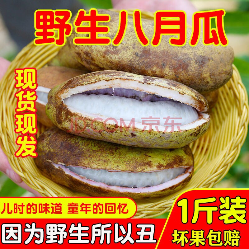 果优港 八月果八月瓜网红八月炸八月札八月扎稀有水果预知子水果新鲜