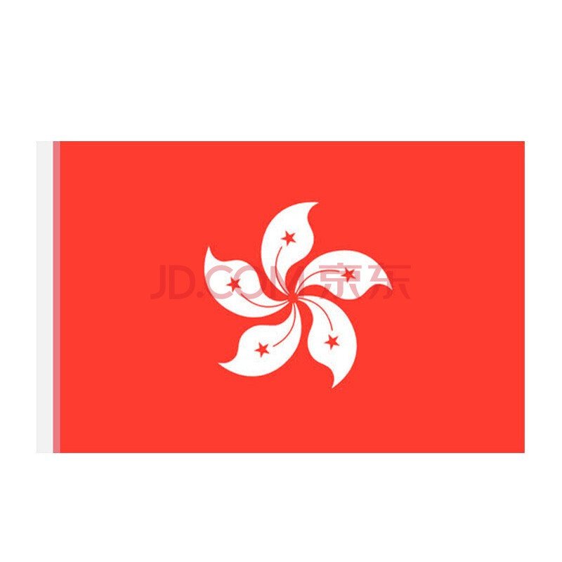 倾阑 香港区旗 香港旗96*144cm旗帜定制紫荆花旗 香港旗帜 3号