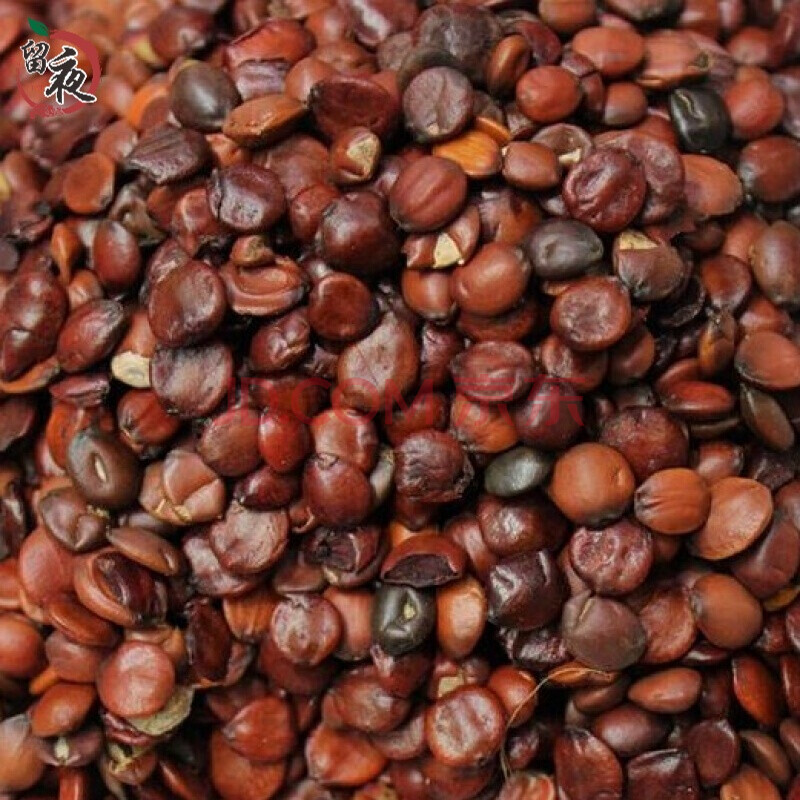 炒枣仁滇枣仁 理枣仁 制枣仁 炒酸枣仁 中 500g克