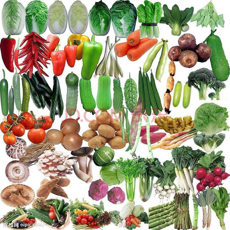 春夏秋冬四季播种蔬菜种子水果种子套餐鸡毛菜圣女果韭菜 随机10份