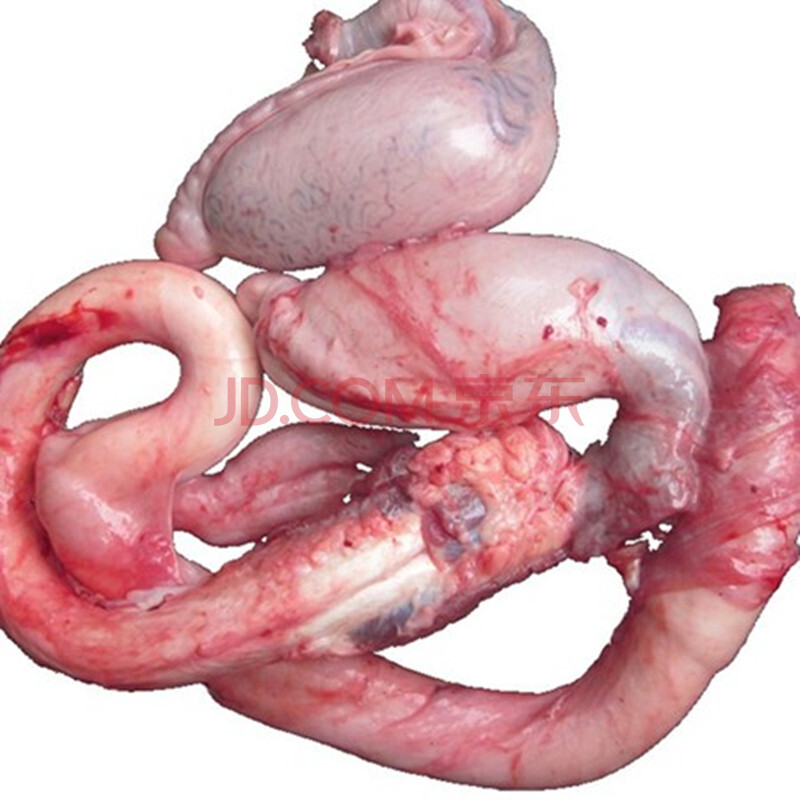 新鲜现杀黄牛宝牛蛋牛睾丸男用滋补新鲜生牛宝新鲜泡酒牛鞭 净蛋