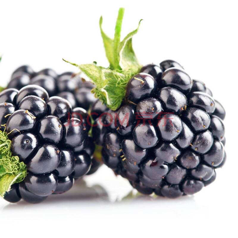 冷冻黑莓水果blackberry 速冻新鲜黑树莓浆果 1kg