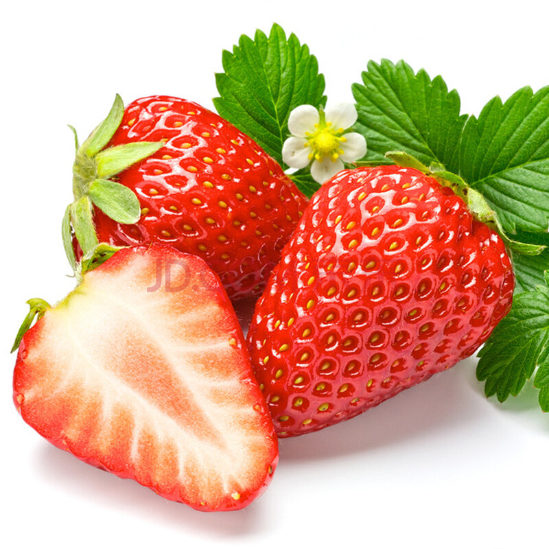 山东张而 冬季章姬奶油草莓 约1300g(36粒)礼盒装 新鲜水果