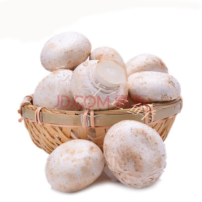 新鲜口蘑菇白蘑菇白蘑菇食用菌菇1.5kg新鲜蔬菜