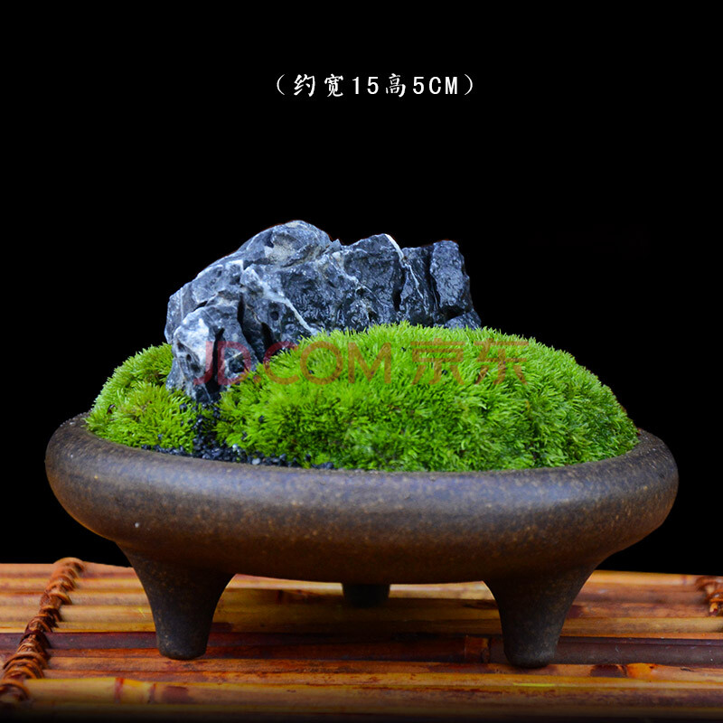 苔藓青山(紫砂盆器) 青榕石