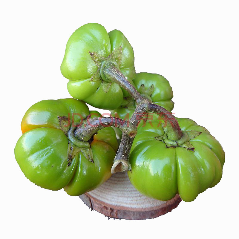 云南德宏少数民族特色蔬菜 苦子果 苦茄 洋苦子1kg