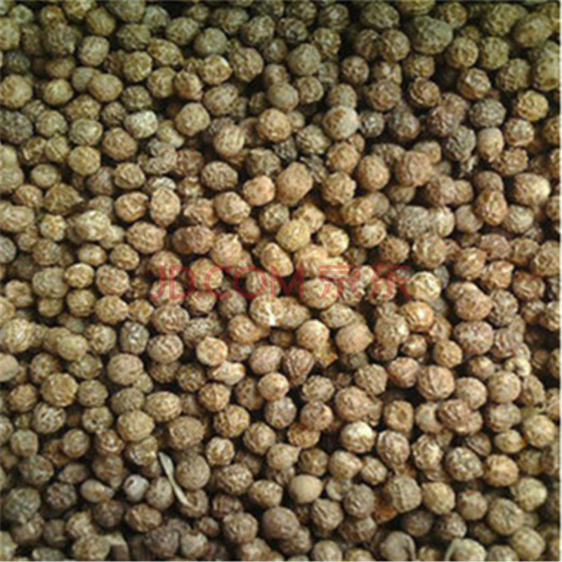 新采法桐种子 青桐种子 梧桐树种子青皮种子质量好发芽率极高 100克