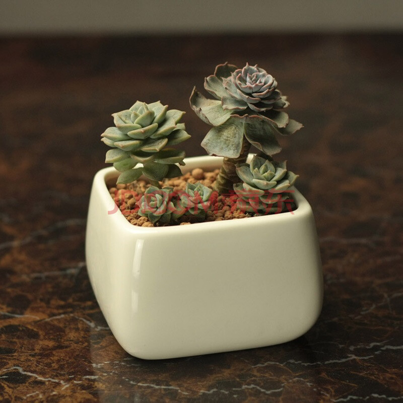 植觉物语 多肉花盆简约白色创意多肉陶瓷圆角四方收口盆栽花盆bc98