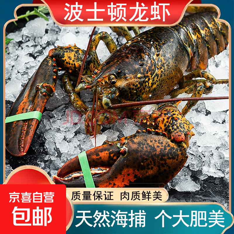 京东(JD.COM)-正品低价、品质保障、配送及时、轻松购物！