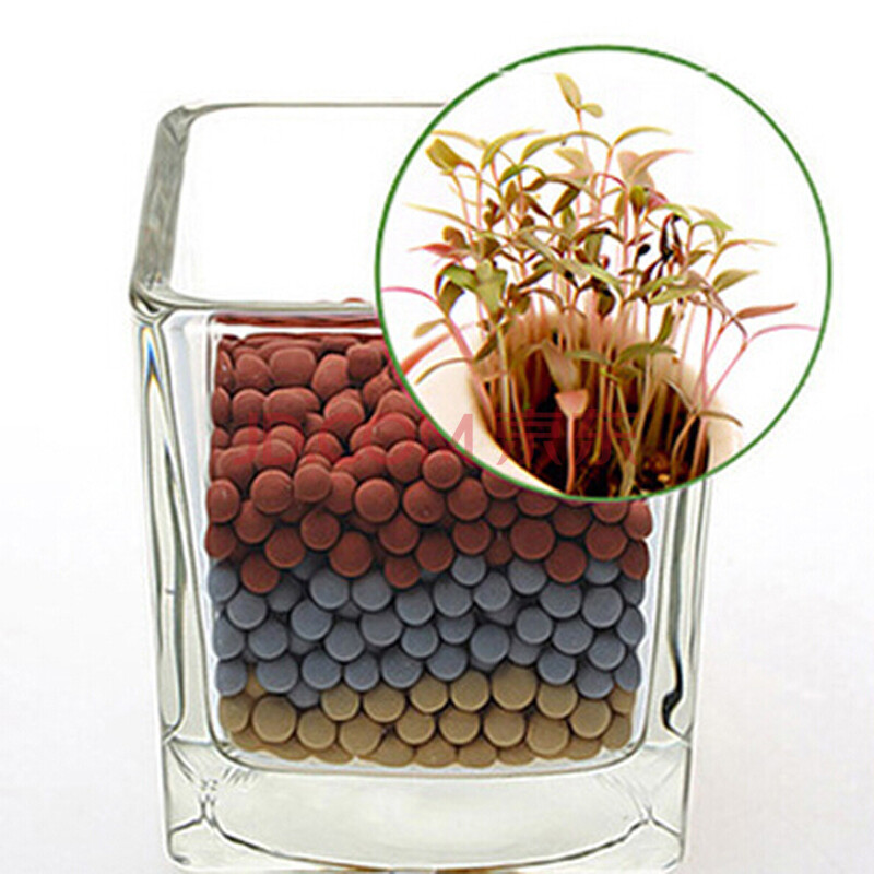 陶碳球负离子植栽绿植创意礼物diy办公室桌面迷你盆栽防辐射种子 爱情