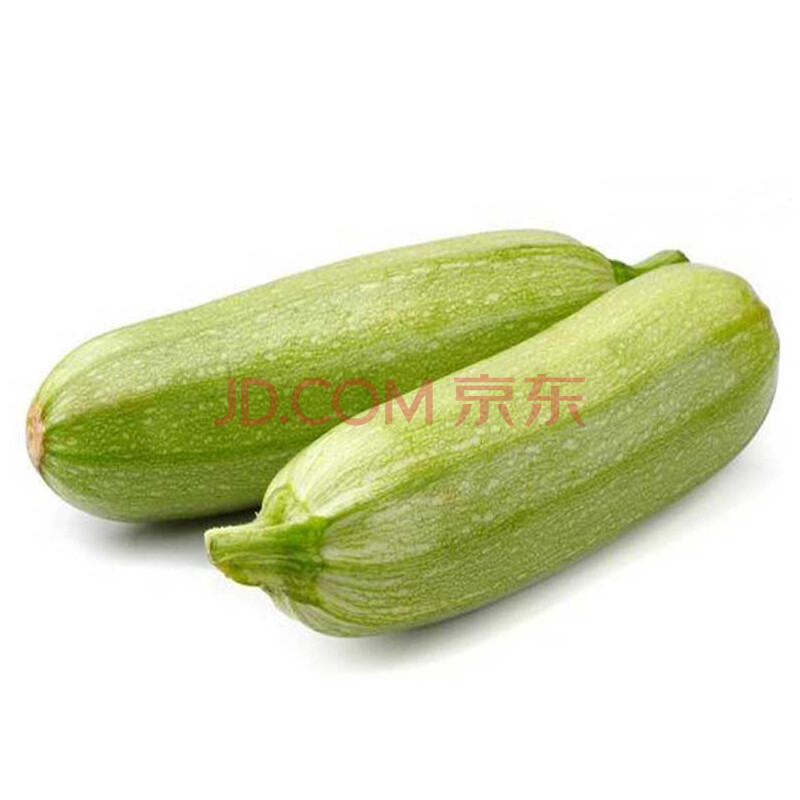 云南新鲜蔬菜西葫芦小瓜角瓜青瓜角瓜油绿三月瓜三叶瓜 2.5kg