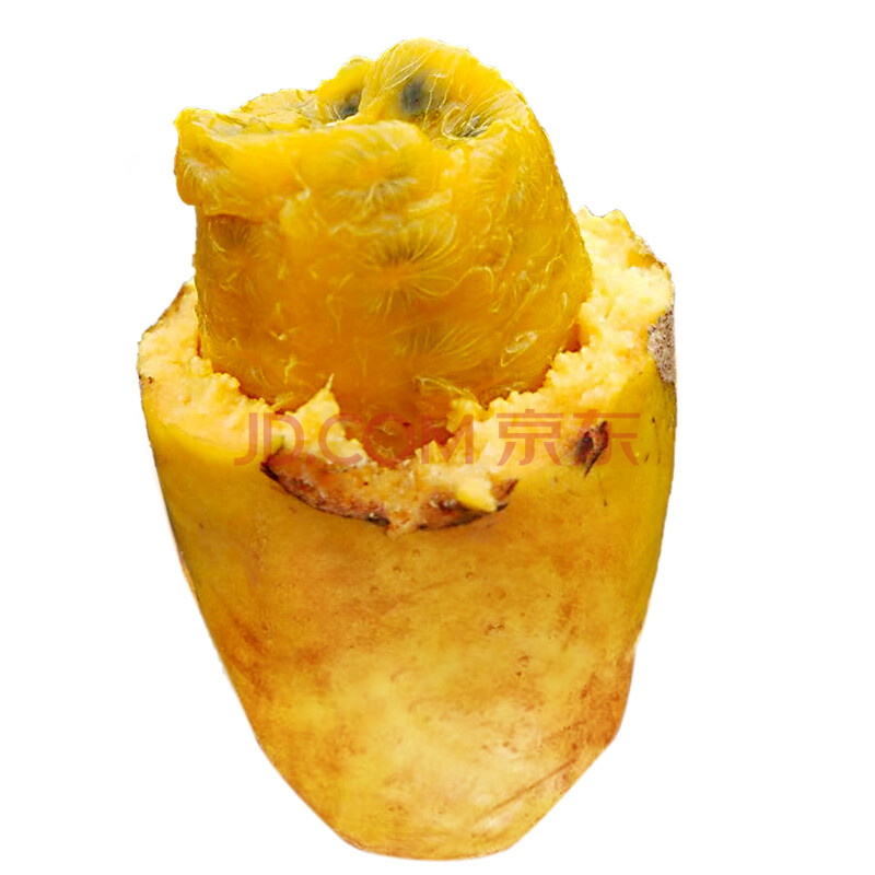 九月黄 九月炸 野果牛藤包水果 非八月瓜 新鲜木桶果牛卵坨 2.5kg