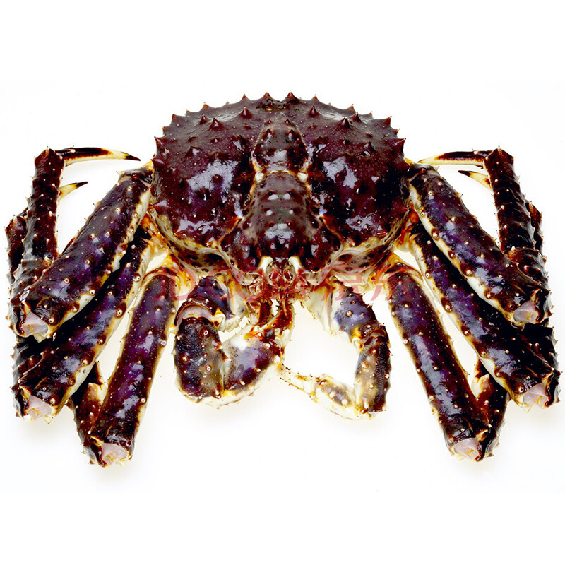 恒六 智利进口鲜冻生冻帝王蟹 阿拉斯加蟹 4.5kg/只