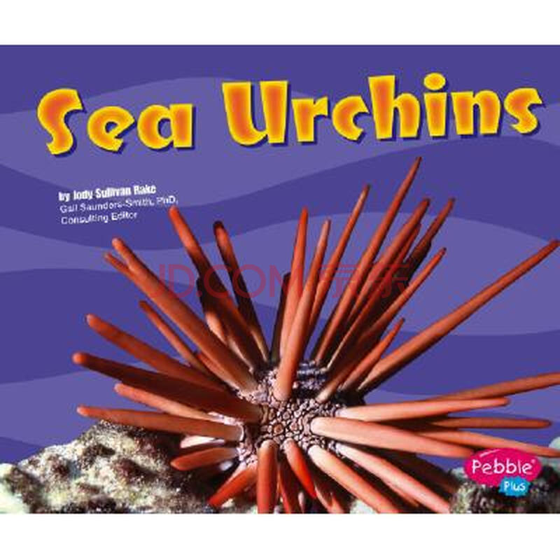 sea urchins