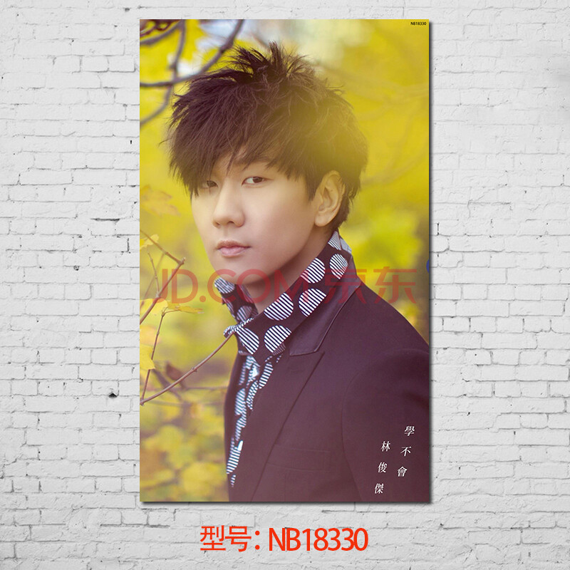 居梦坞 林俊杰jj港台明星流行歌手音乐偶像周边墙纸壁画墙贴贴画装饰