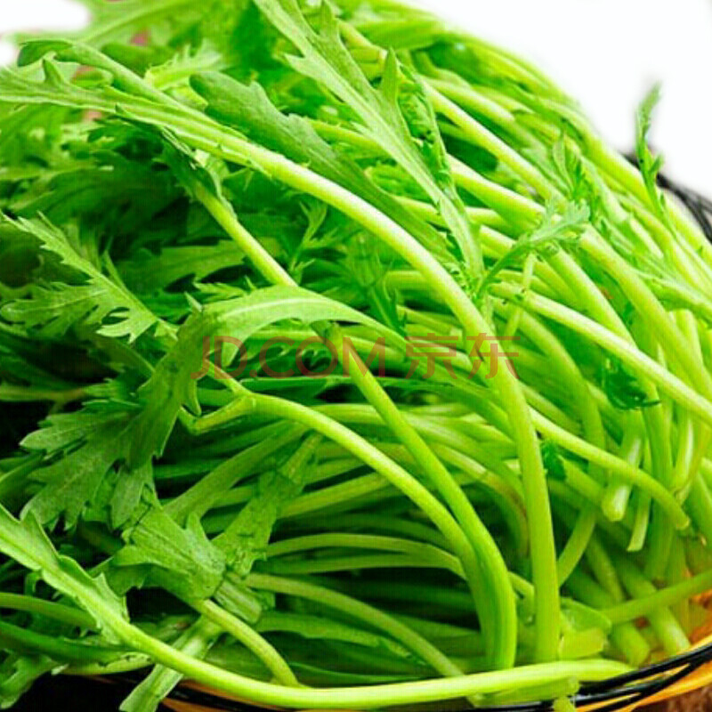 【下单立返60】小叶茼蒿 约500g/份