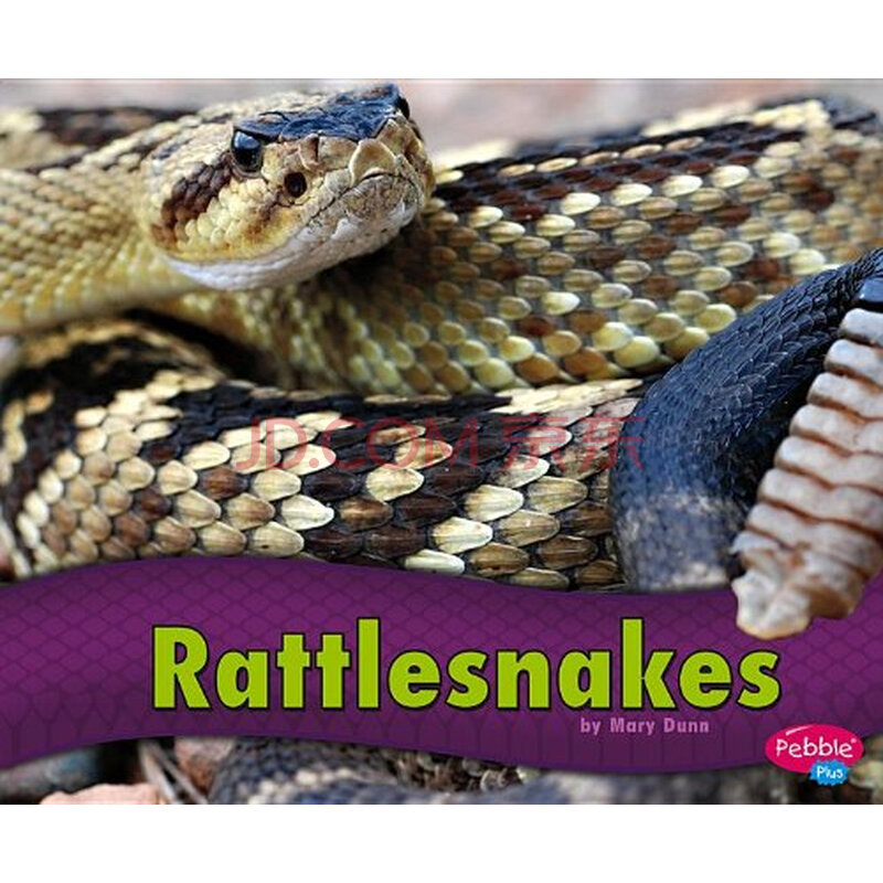 【预订】rattlesnakes