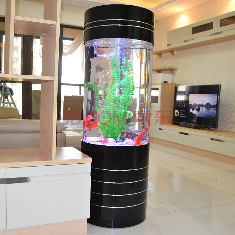 完勝vision 亞克力魚缸 水族箱45cm 60cm圓柱型屏風隔斷超白生態 熱帶