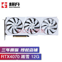 耕升(GAINWARD) RTX4070 TI 追风 星极幻姬 高端发烧深度学习游戏显卡 台式机显卡 RTX4070 12G D6X 踏雪