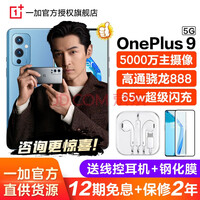 一加9 OnePlus 1+9 5G手机（12期免息一加8 可选）下单尊享豪礼 鲸蓝（一加9） 12G+256G