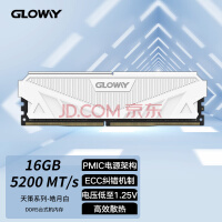 光威（Gloway）16GB DDR5 5200 台式机内存 天策系列-皓月白