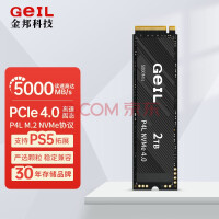 GeIL金邦 P4L固态硬盘PICE4.0台式机SSD笔记本电脑M.2(NVMe协议)高速m2 P4L 2TB PCIE4.0