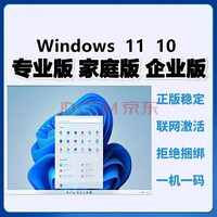 rpwindows10רҵ漤win10ҵϵͳw11ͥԿ 11רҵ